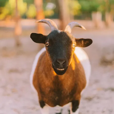 Albergue Cliff Surf House Aldeia dos Cunhados
