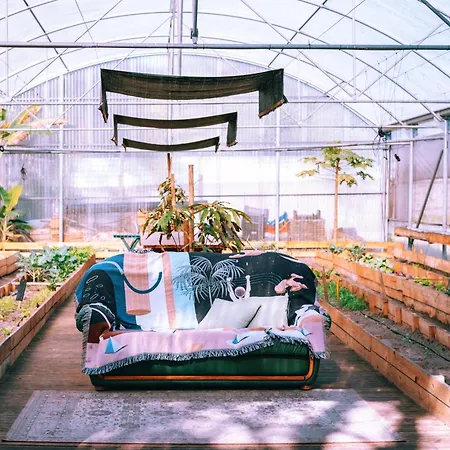 Albergue Cliff Surf House